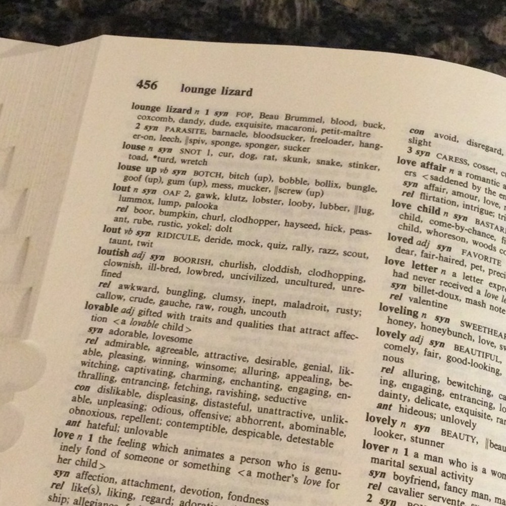 Merriam-Webster’s Thesaurus - Picture 7 of 8